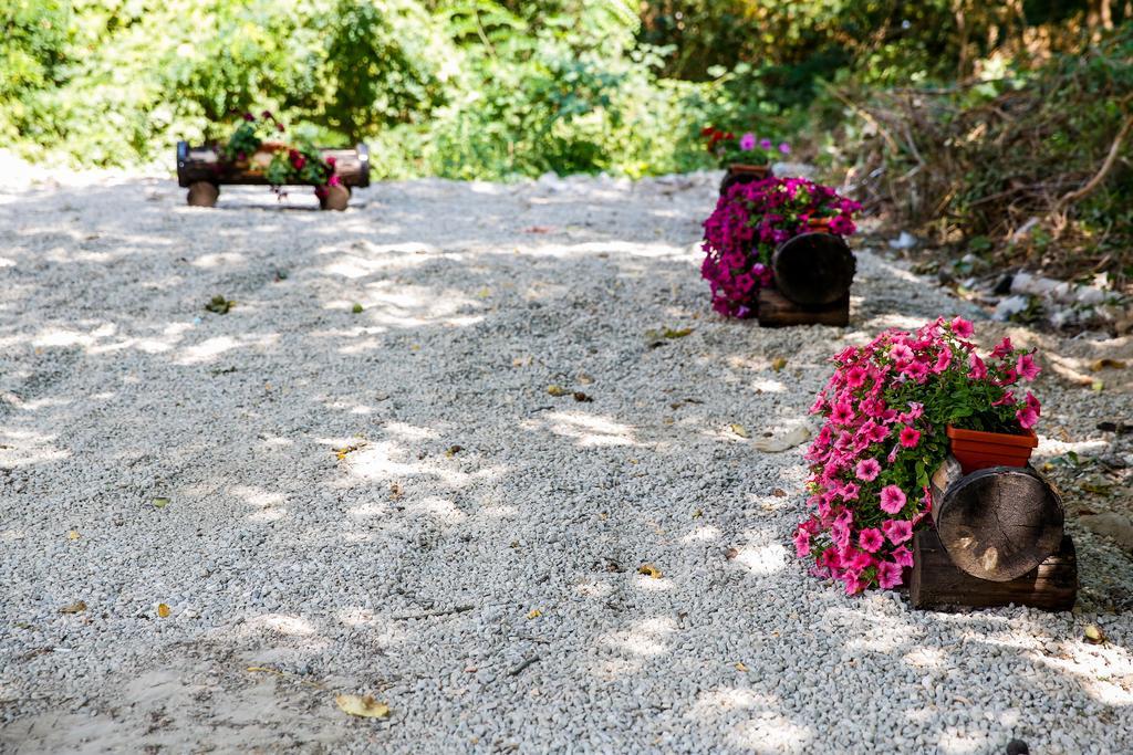 Villa Drecheva Ognjanovo Eksteriør bilde